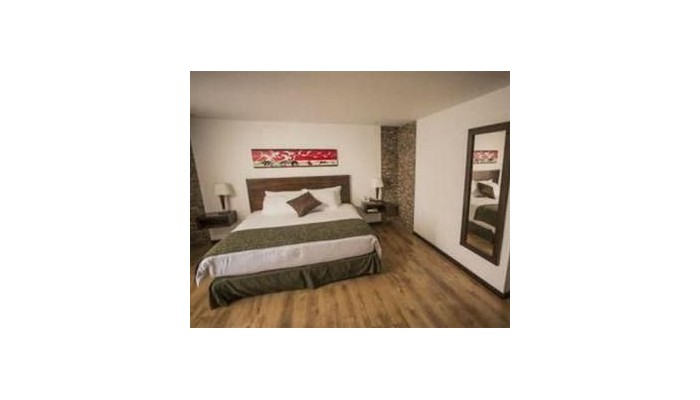 Europa Hotel Boutique poza 5