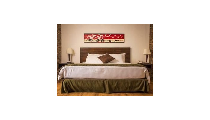 Europa Hotel Boutique poza 8