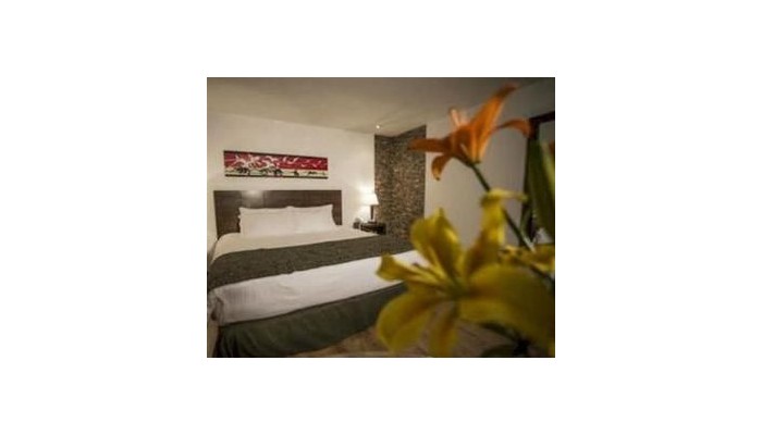 Europa Hotel Boutique poza 7