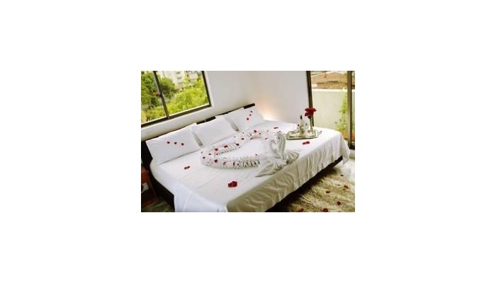 Hotel Flamingo Cali poza 1