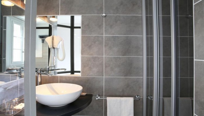 Best Western Hotel Le Dauphin Le Spa Du Prieure poza 11