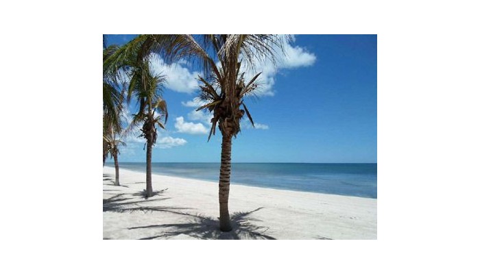 Aak-bal Beach Condos By La Tour Hotels And Resorts poza 5