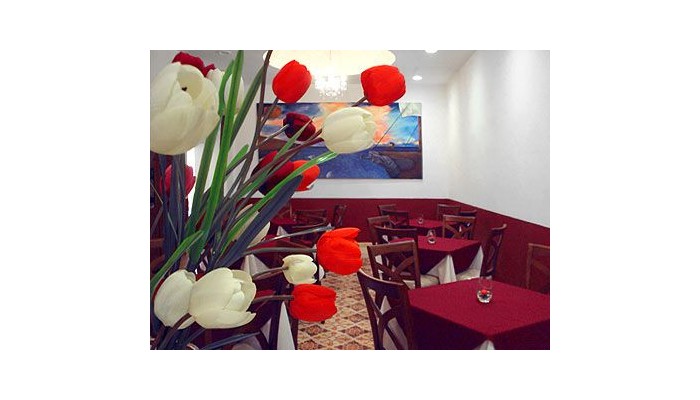 Hotel El Navegante poza 11