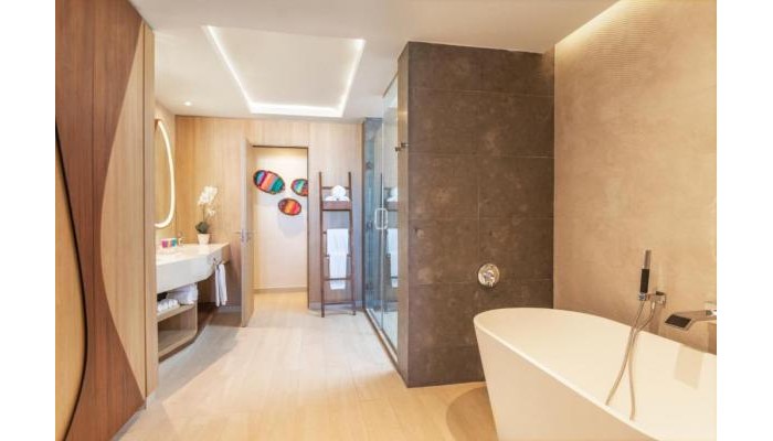 Hotel Hyatt Ziva poza 13