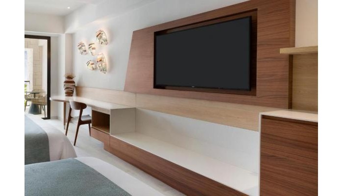 Hotel Hyatt Ziva poza 9