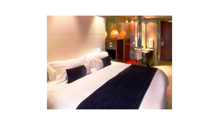 Hotel Protea Fire And Ice! poza 3