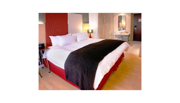 Hotel Protea Fire And Ice! poza 4