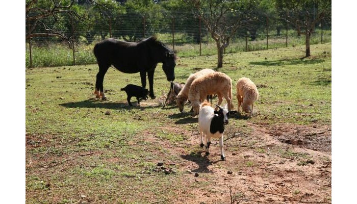 Hotel Case Di Latomie poza 2