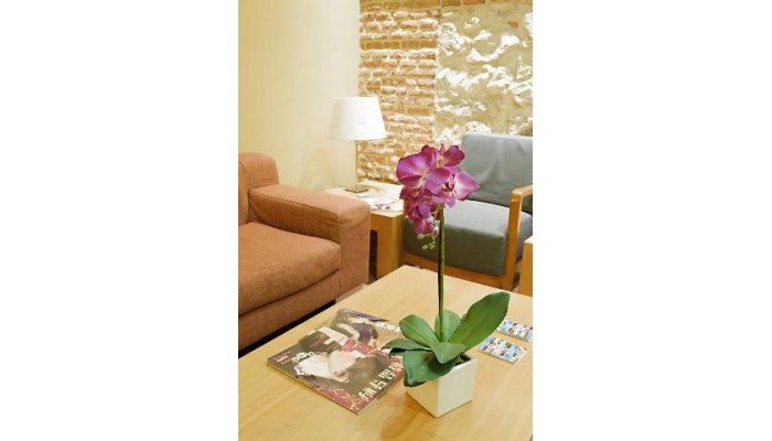 Victoria 4 Hotel poza 5