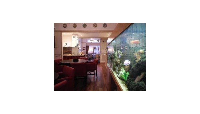 Asterisk Hotel poza 4