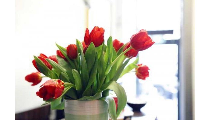 De Gerstekorrel Hotel poza 1