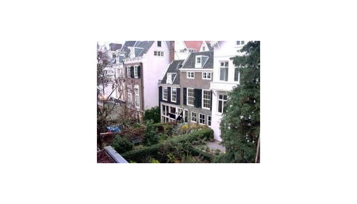 Hotel The Golden Bear poza 6