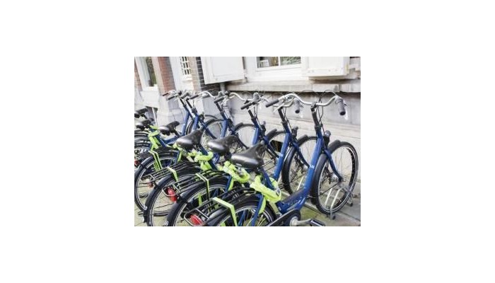 Hotel The Golden Bear poza 4