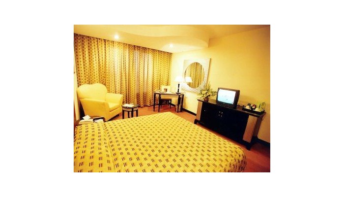 Hotel Deccan Plaza poza 1