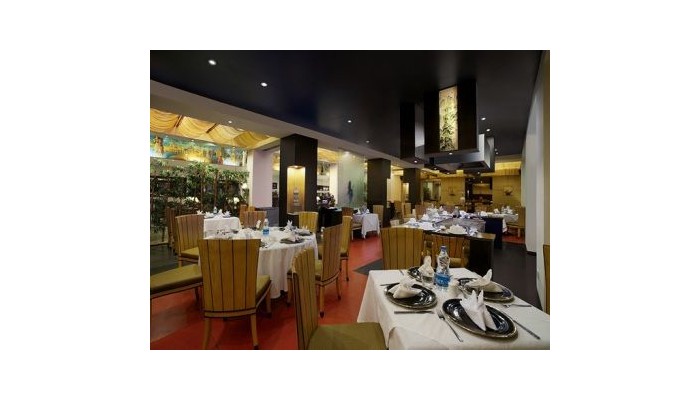 Hotel Radha Regent poza 6