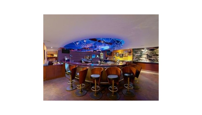 Hotel Radha Regent poza 8