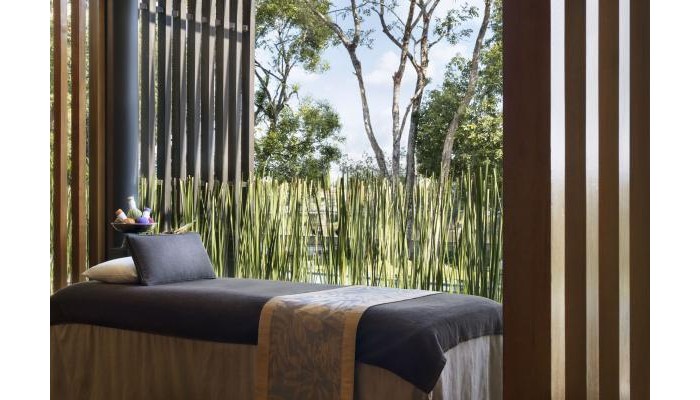 Hotel Anantara Chiang Mai Serviced Suites poza 6
