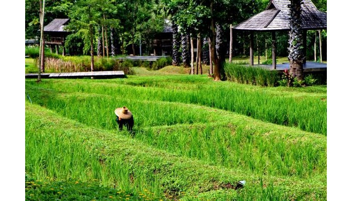 Veranda High Residence By Veranda Chiangmai The High Resort poza 2