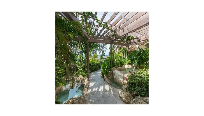 Bougainvillea Beach Resort poza 8