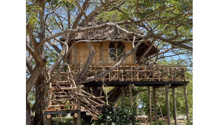 Antonio Beach Tree House Hotel & Spa poza 4