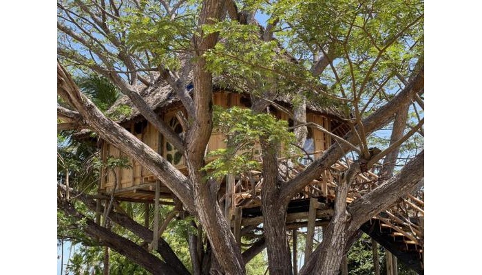 Antonio Beach Tree House Hotel & Spa poza 2