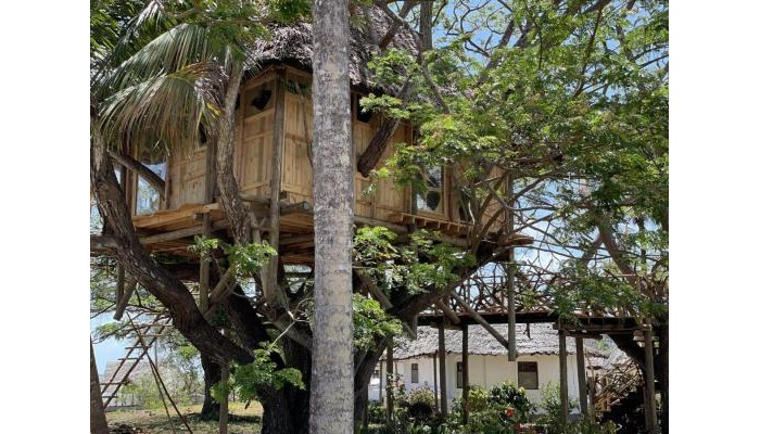 Antonio Beach Tree House Hotel & Spa poza 3
