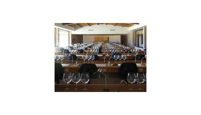 Chateau Vinasoro Hotel poza 4