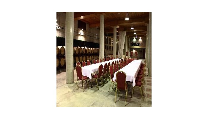 Chateau Vinasoro Hotel poza 6