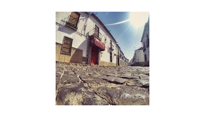 Hotel Hosteria De Almagro Valdeolivo poza 7