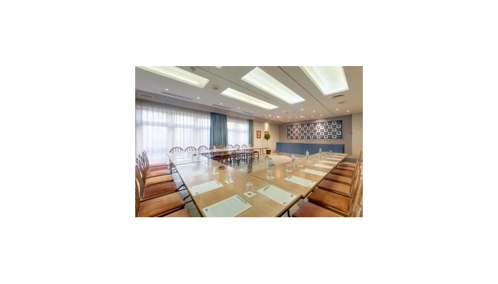 Hotel Tryp Puertollano poza 7