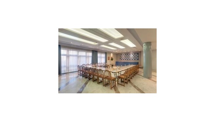 Hotel Tryp Puertollano poza 8