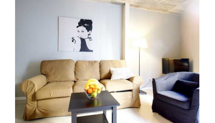 Feel Good Apartments Borne Lofts poza 4