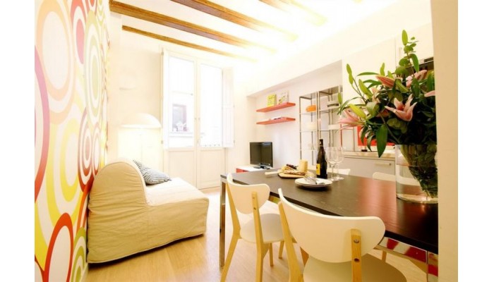 Hotel Borne Pop Art Lofts poza 0