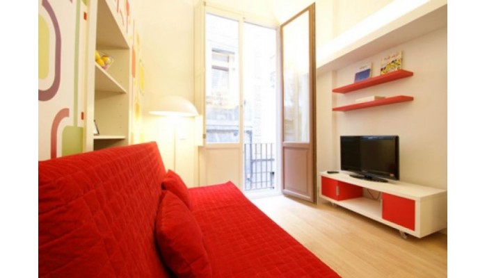 Hotel Borne Pop Art Lofts poza 3