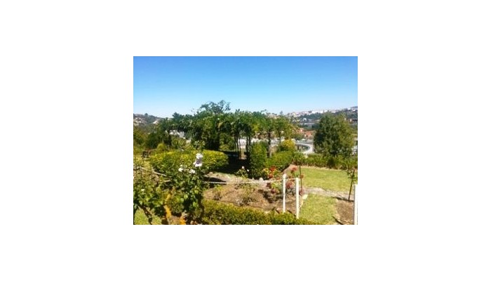 Hotel D. Luis poza 10