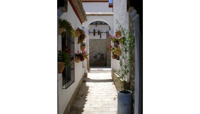 Hotel Hacienda Minerva poza 3