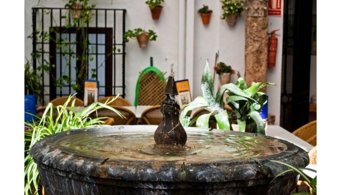 Hotel Los Patios - Cordoba poza 4