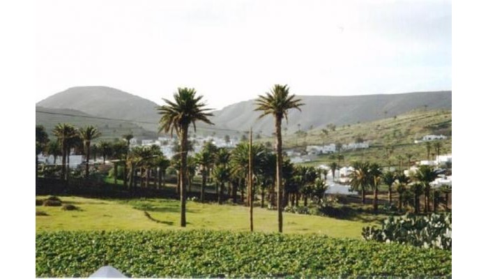 Hotel Apartamentos Celeste poza 6