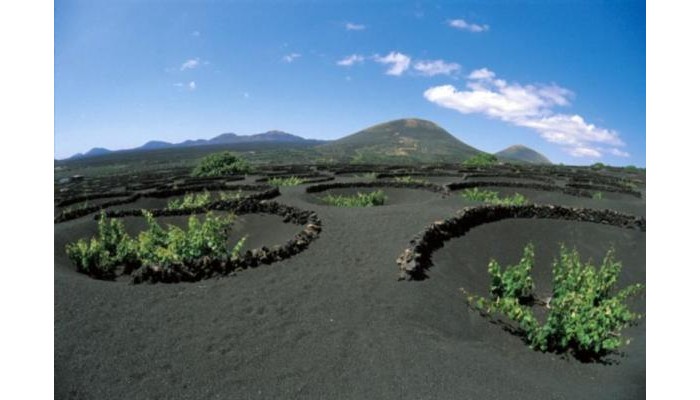 Hotel Bluebay Lanzarote poza 1