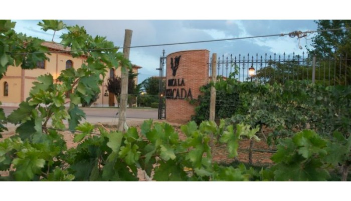 Hotel Complejo Enoturistico Finca La Estacada poza 2