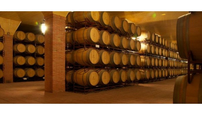 Hotel Complejo Enoturistico Finca La Estacada poza 11