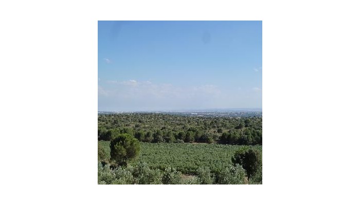 Hotel La Moragona poza 7