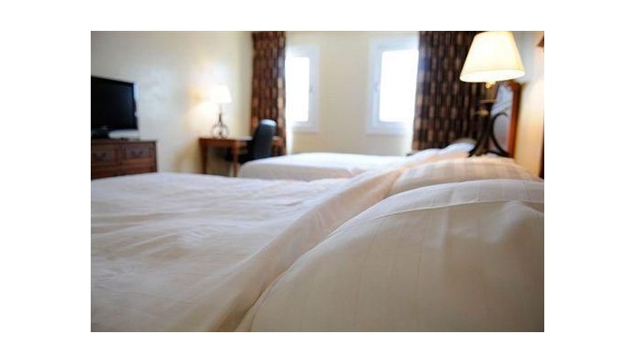 E M City Hotel poza 10