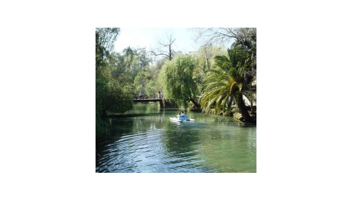 Hotel Das Termas - Curia poza 2