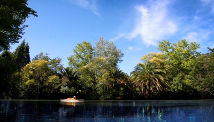 Hotel Termas Da Curia poza 5