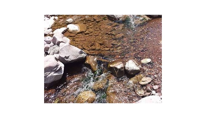 Hotel Checcollo Bungalows poza 3