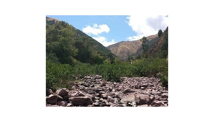 Hotel Checcollo Bungalows poza 4