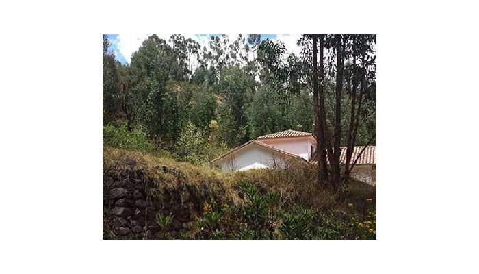 Hotel Checcollo Bungalows poza 5