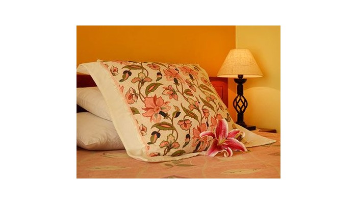 Hotel Torre Dorada poza 3