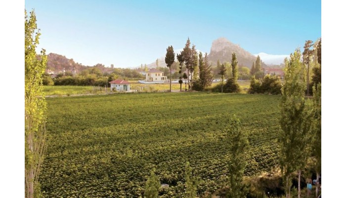 Hotel Ozalp Apart C poza 9